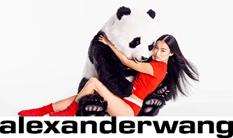 Alexander Wang Promo Code