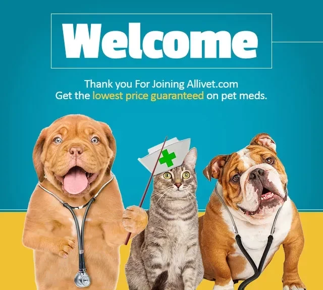 Allivet's subscription welcome image, with puppies and cats dressed as medical staff